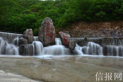 了解怎么治疗震颤麻痹?,探索知识星球平台的精彩内容