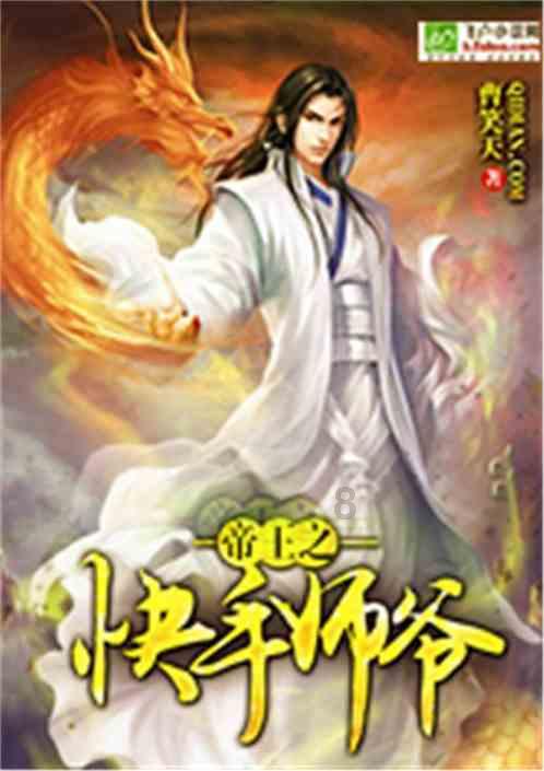 云南沿边高速孟连至勐海项目进展顺利